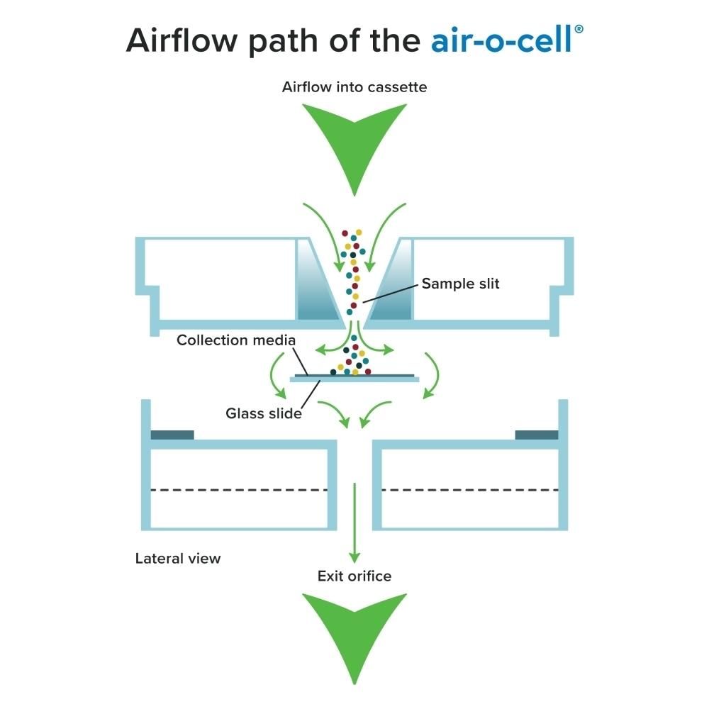 Schéma du trajet de l’air dans une cassette Air-O-Cell